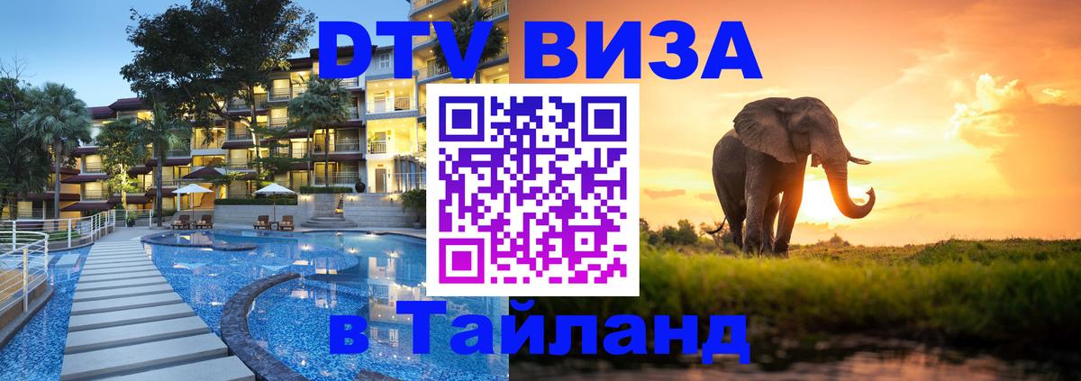 Оформление DTV визы под ключ: стоимость и тарифы, только загранпаспорт - 